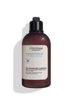 Purifying Conditioner