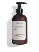 Purifying Conditioner