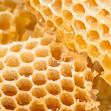 Bienenwachs