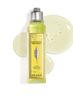 Citrus Verveine Shampoo