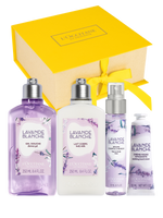 Weißer Lavendel Kennenlernset