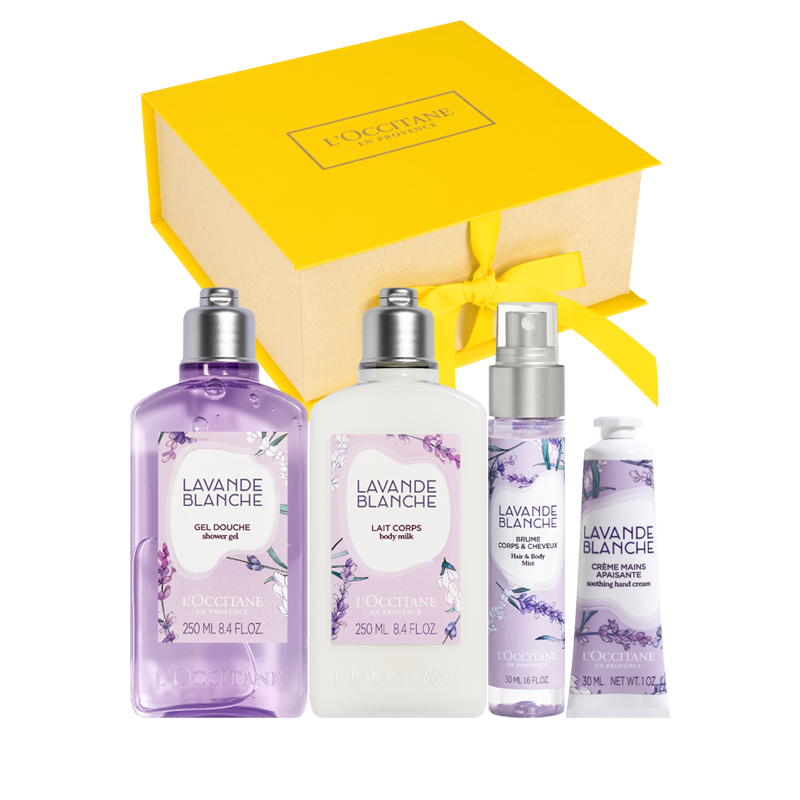 Weißer Lavendel Kennenlernset