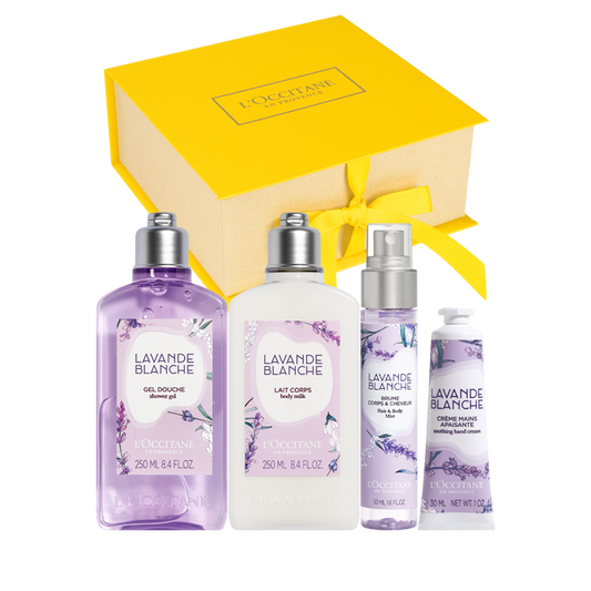 Weißer Lavendel Kennenlernset
