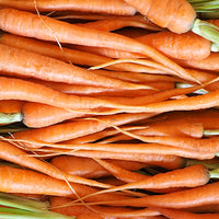 Carrot Featured Ingredient - L'Occitane