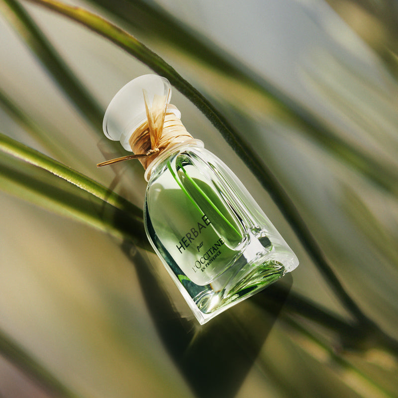damen parfüms loccitane