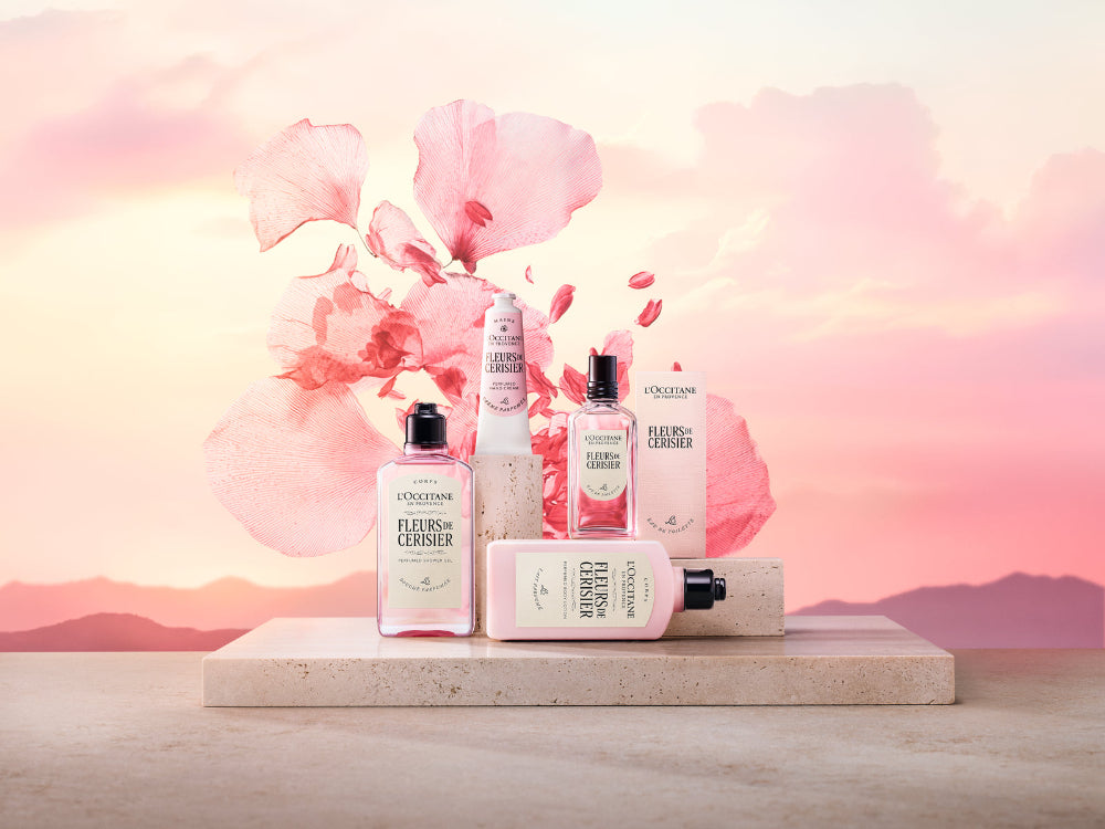 Kirschblüte Loccitane